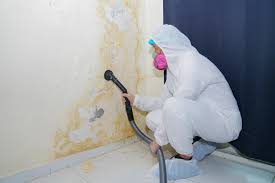 Best Commercial Mold Inspection  in Aliquip, PA